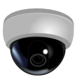 Live Webcam Stream